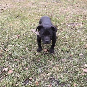 Meet your Posher, Zay